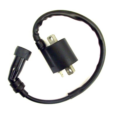 Image: Yamaha Raptor 350  Ignition Coil, '02-'08