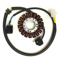 Image Category: Suzuki DRZ250 Stator Assembly