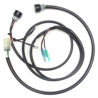 Image Category: Yamaha Banshee ignition wiring harness, '87-'94
